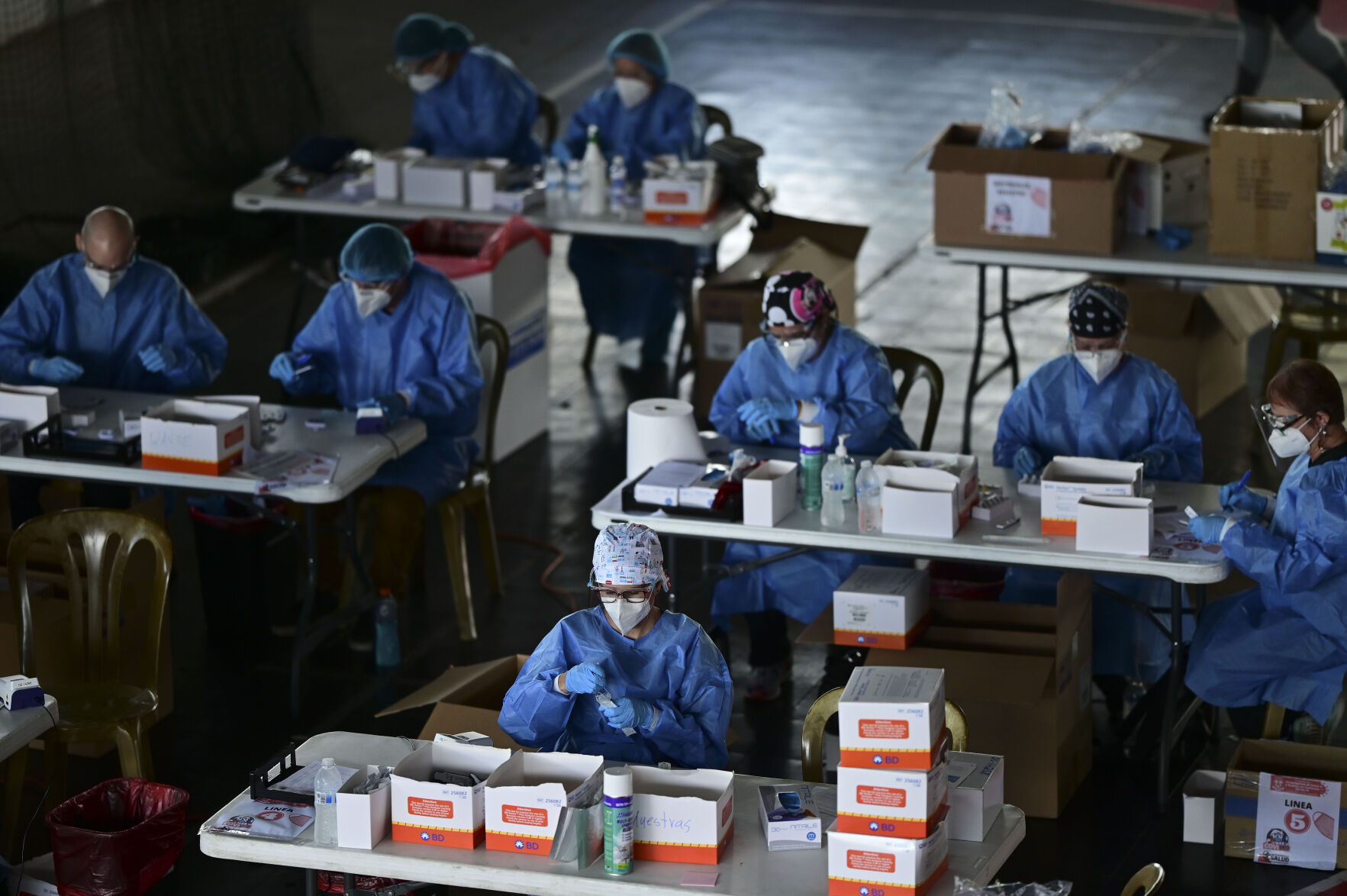 On the trail of the virus